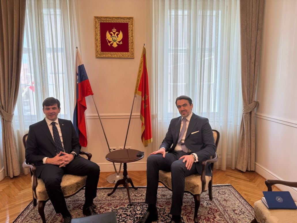 Minister of Diaspora on a Working Visit to Slovenia